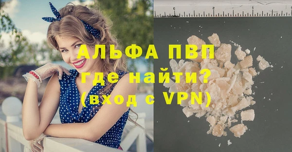 spice Вяземский