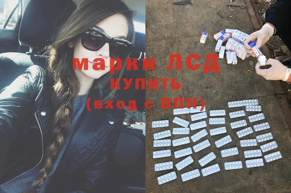 spice Вяземский
